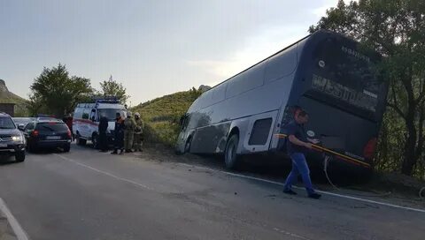 Судак морское автобусы
