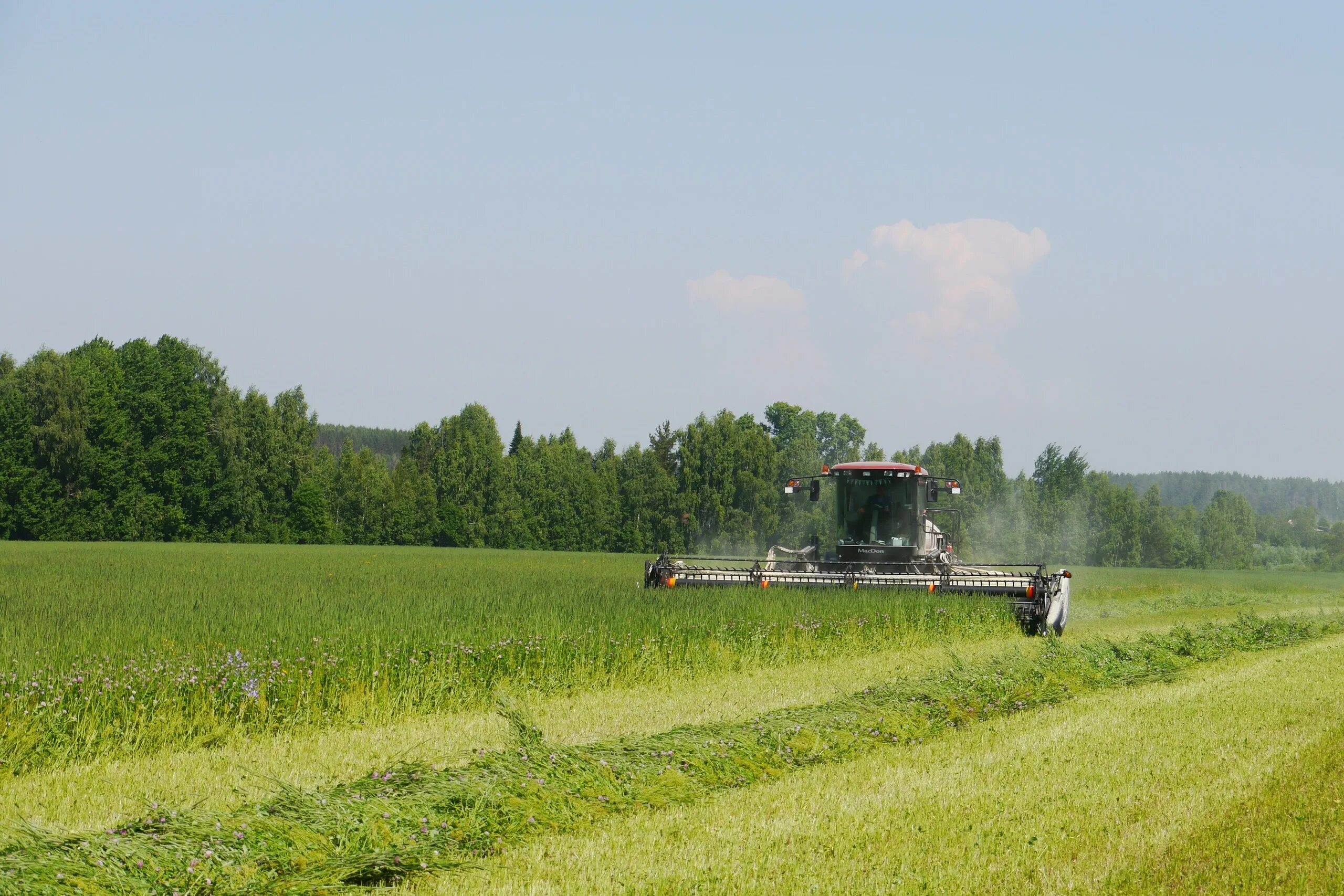 Полевые работы. Весенний сев зерновых. Ход полевых работ. Полевые работы. Ход полевых работ.