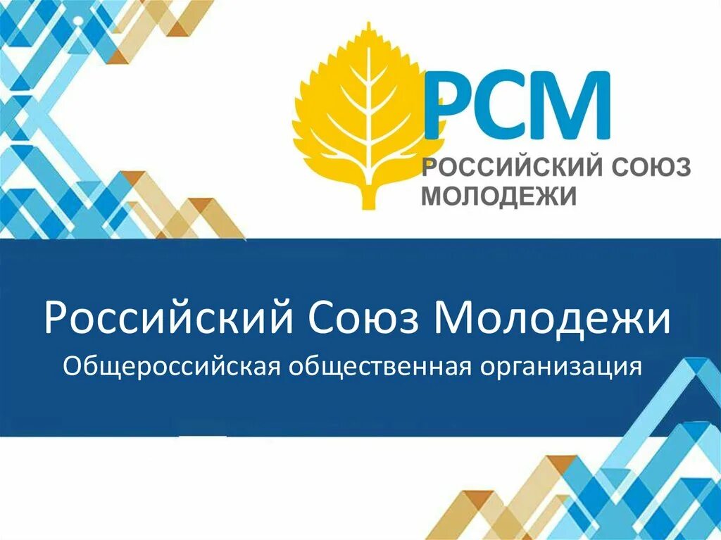 Сайт всероссийской общественной организации. Российский Союз молодежи. РСМ российский Союз молодежи. Российский Союз молодежи логотип. Общественная организация Союз молодежи.