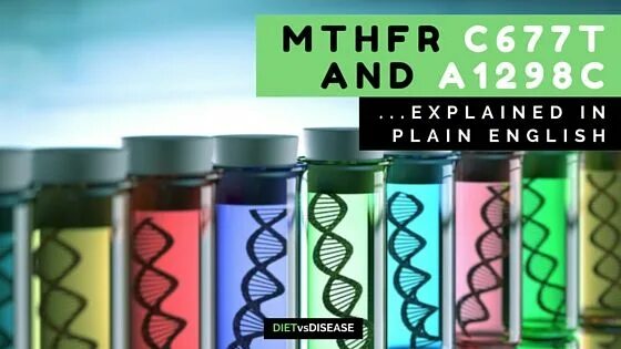 Mthfr 677 t t расшифровка. Mthfr c677t. mthfr:с677т ст. mthfr 1298 a&gt;c расшифровка. mthfr 677 c&gt;t расшифровка.