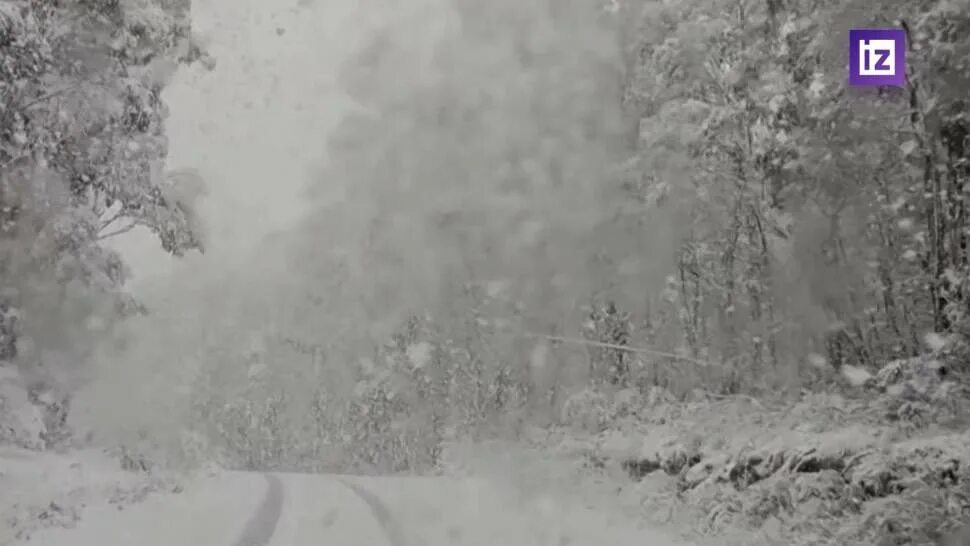 Snowfall на русском. Сильный снегопад. Снегопад в Москве. Снег в городе. Вследствие сильного снегопада.