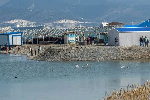 Море в новороссийске 2024