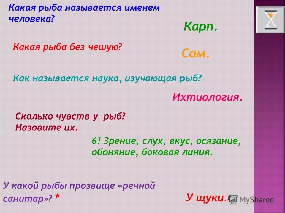 рыбки в науке. наука изучающая рыб. ихтиология. ихтиология наука о рыбах. наука изучающая рыб.