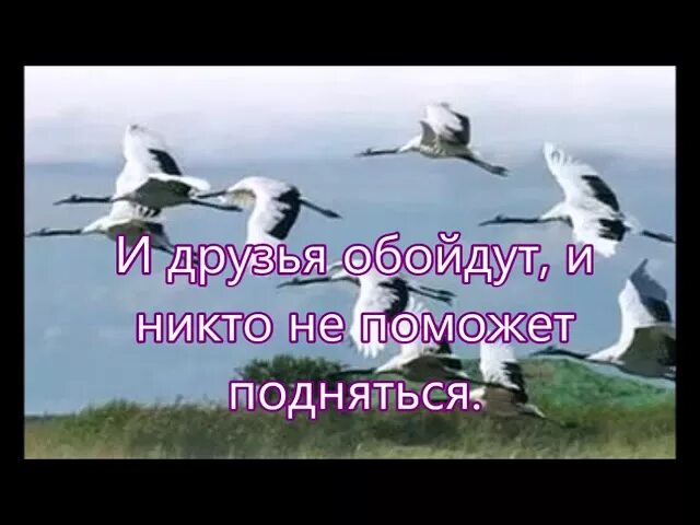 Бушуют метели журавли улетели. Далеко Журавли. Далеко далеко далеко далеко далеко Журавли улетели. Далеко-далеко Журавли. Далеко Журавли улетели слова.