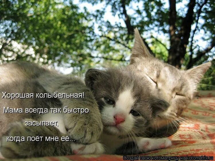Он ехал ехал устал