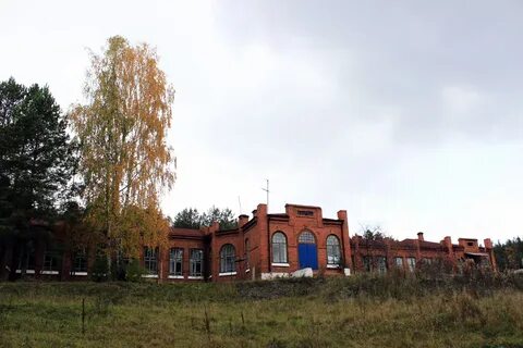 Лес больница старый