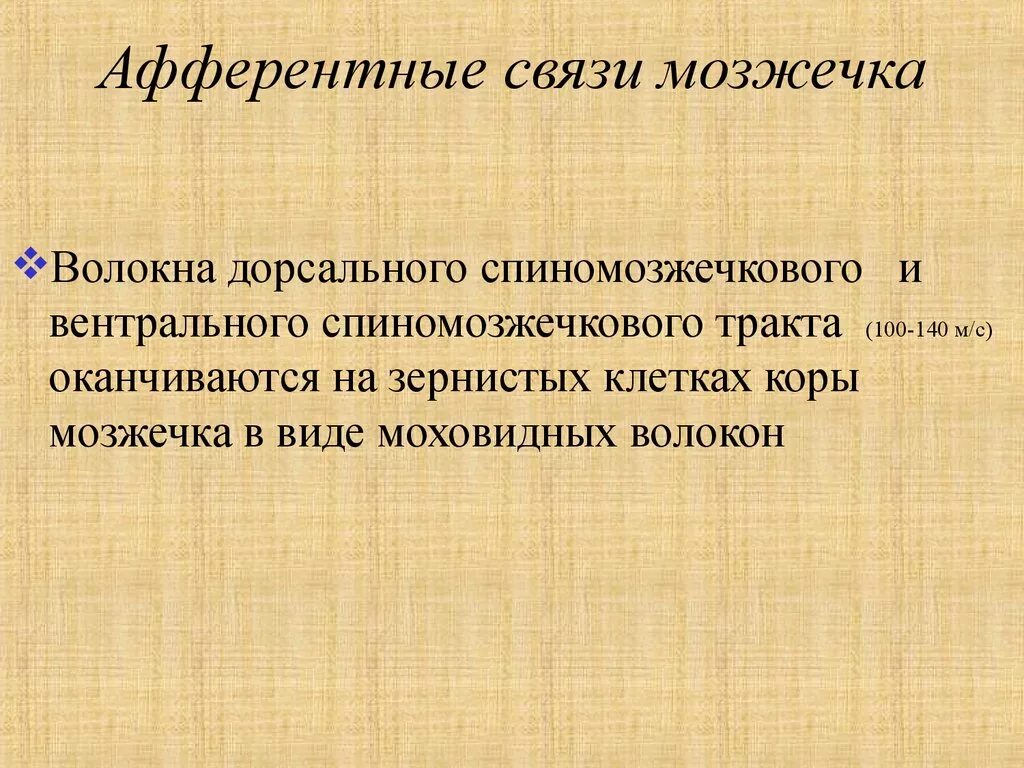 Эфферентные нервные волокна. Нервные волокна мозжечка. Афферентный путь и эфферентный путь. Афферентные волокна. Соматические эфферентные нервные волокна.