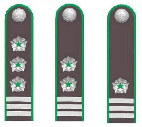 Референт ггс 1 класса погоны. Референт 2 класса звание. Советник ггс 3 класса. Погоны фнс референт государственной гражданской службы 1 класса. Государственный налоговый инспектор погоны.