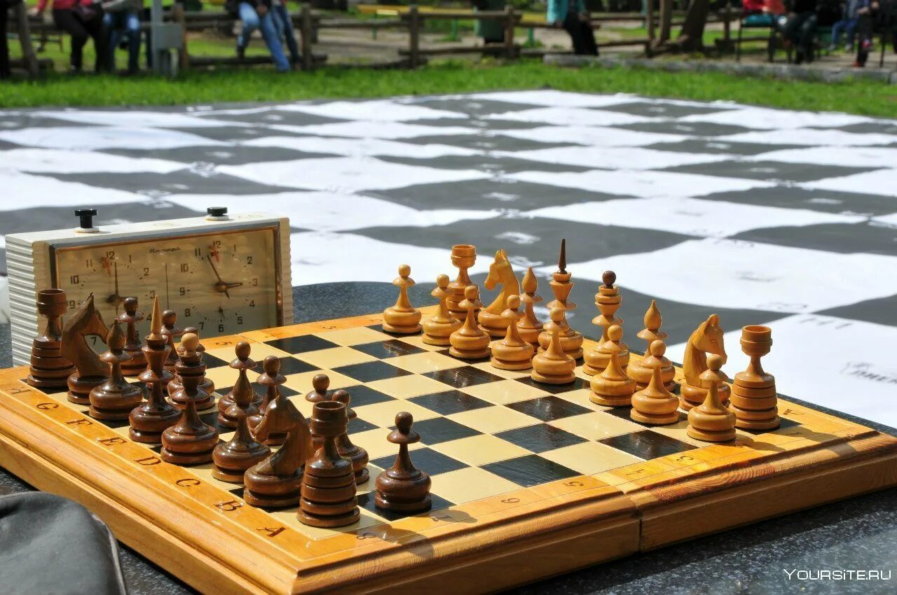 Шахматы берег. Шахматы берег. Красивая шахматная доска. Шахматный клуб. Шахматы фон.