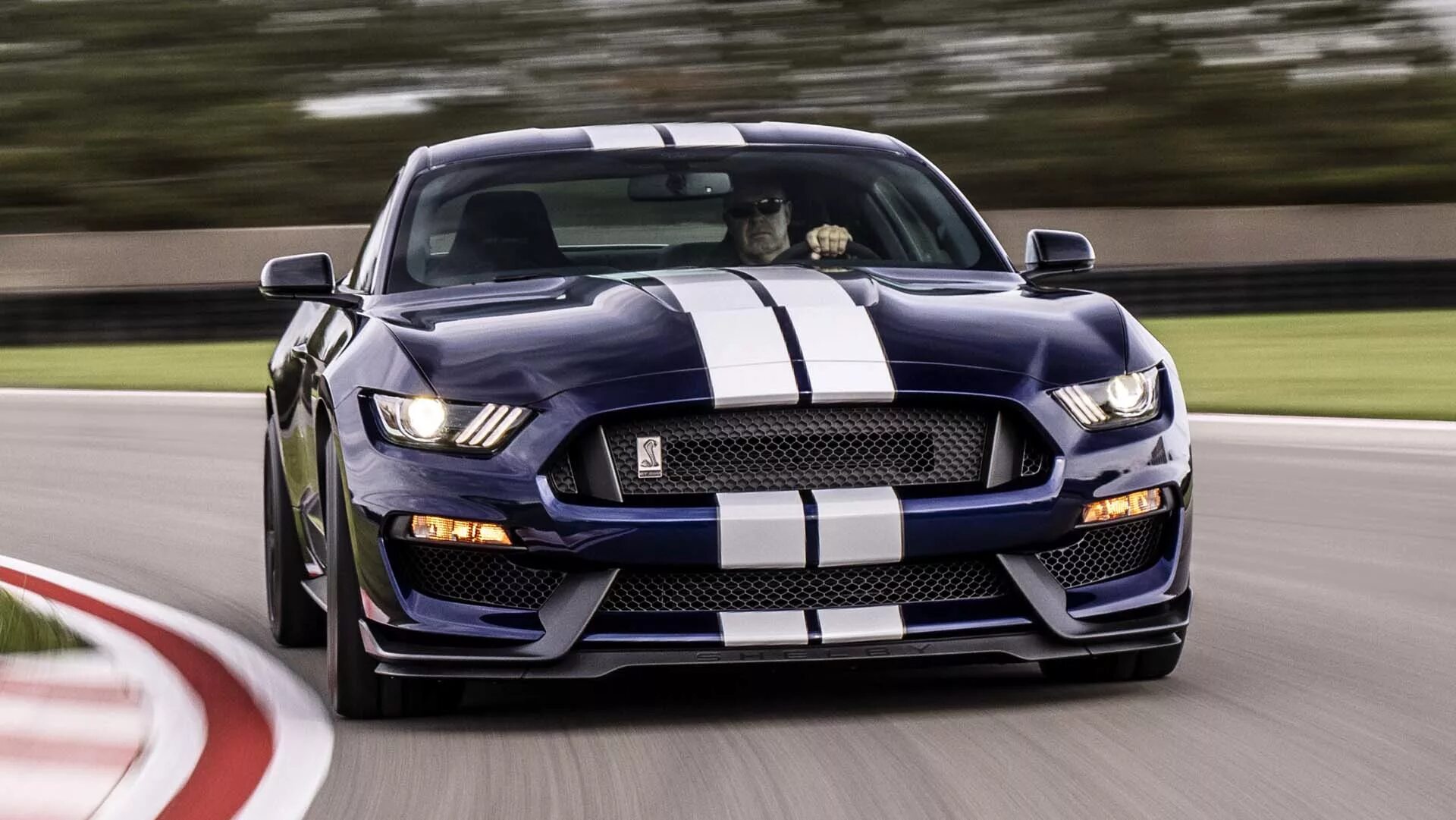 Мустанг шелби цена. Форд Мустанг ГТ 2019. Ford Mustang Shelby gt350. Форд Мустанг Шелби 2019. Форд Мустанг Шелби gt 500 2019.