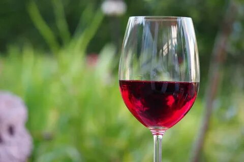 Wine glass