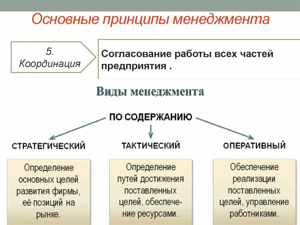 Основные принципы менеджмента маркетинг 10 класс обществознание. Основные принципы менеджмента. Основные принципы менджмент. Основы принципы менеджмента. Основные принципы менеджмента Обществознание.