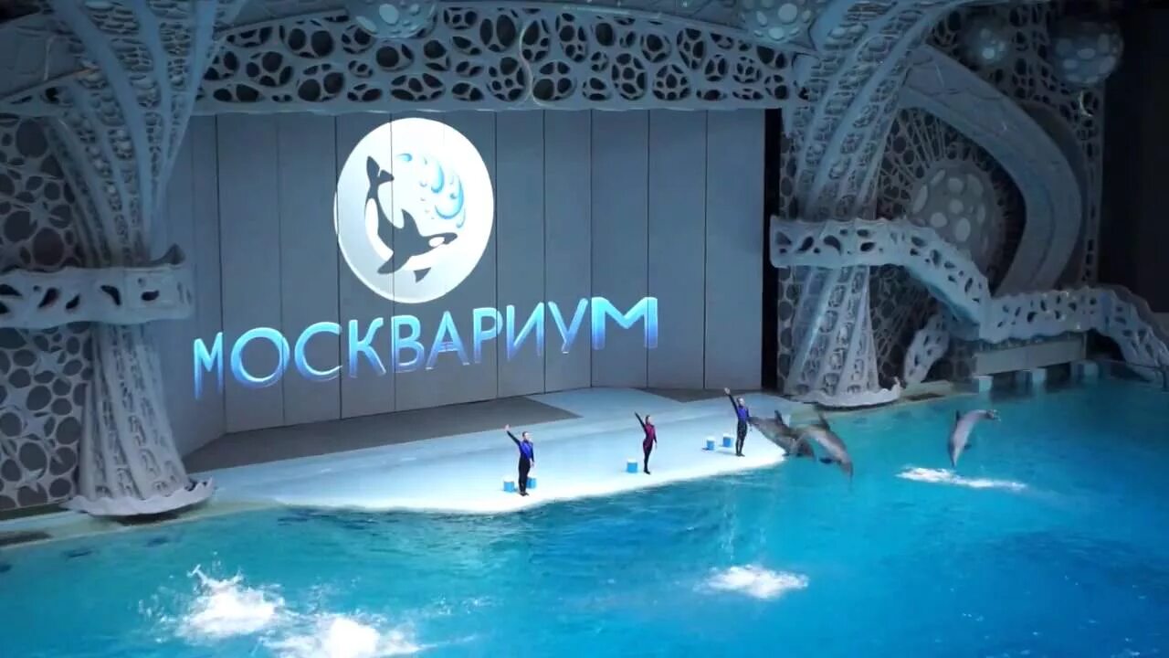 Москвариум ВДНХ зал. Океанариум Москва ВДНХ шоу зал. Москвариум водное шоу. Москвариум тайна 4 океанов.