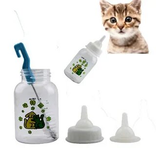 Бутылочка для котят