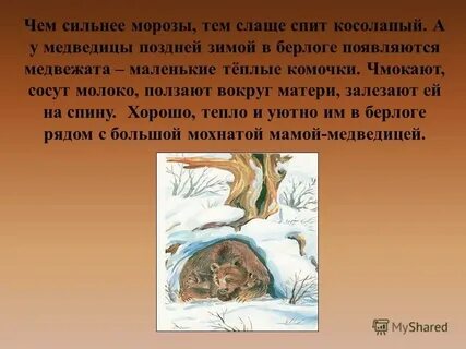 Два в одной берлоге не