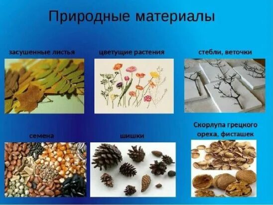 Используя в работе природный. Виды природных материалов. природный материал для технологии. природные материалы по технологии. материалы природного происхождения.