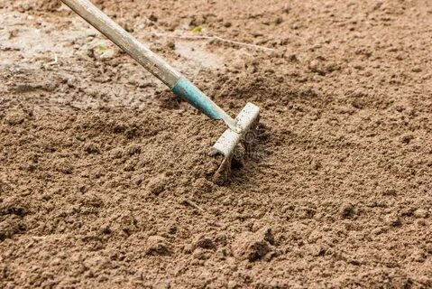 Как переводится digging