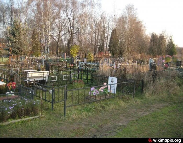 Заборьевское кладбище памятники. Заборьевское кладбище Домодедово. Заборьевское кладбище Домодедовский район. Домодедовское городское кладбище, Домодедово. Колычёвское кладбище Домодедово.