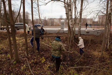 Суть инициативы благоустройства