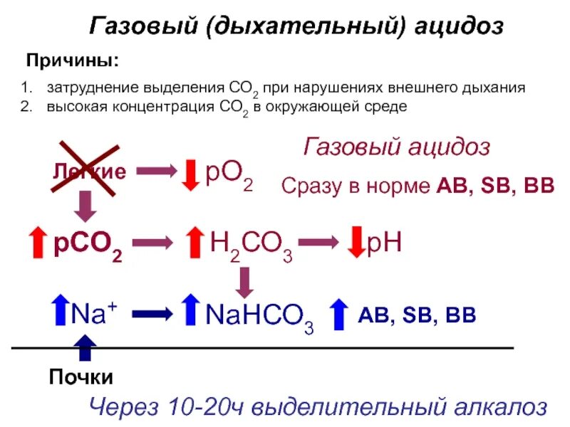 Алкалоз ацидоз механизмы. Респираторный алкалоз кщс. Классификация нарушений кос патофизиология. Алкалоз ацидоз механизмы. Механизм компенсации при газовом ацидозе.