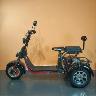 White siberia trike