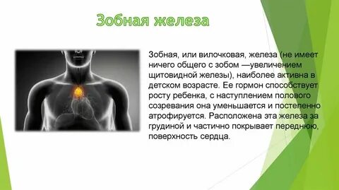 Железа в грудине
