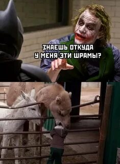Новости про шутку