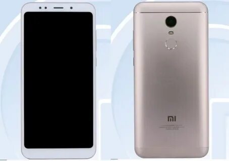 Мег 7