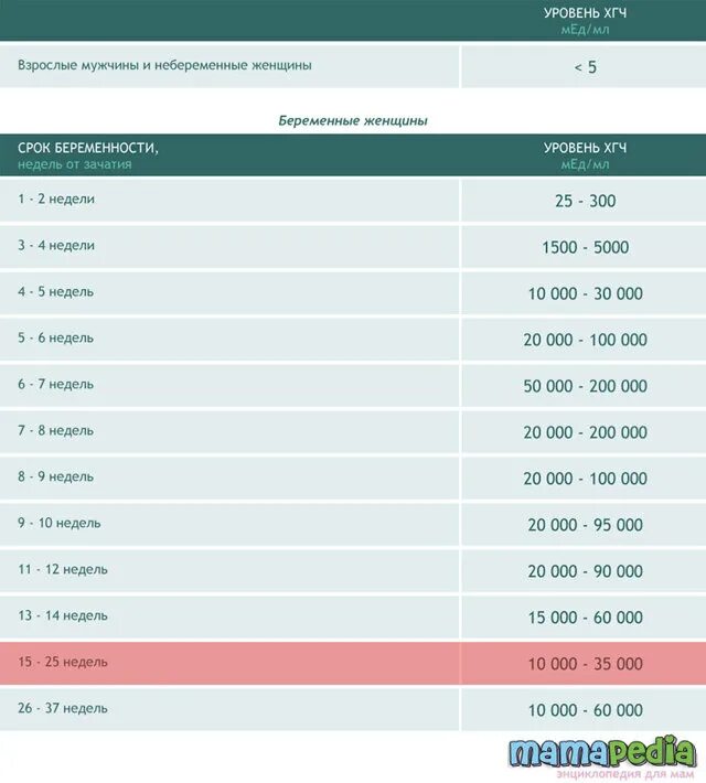 Информация о беременности - ГБУЗ Выселковская ЦРБ