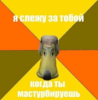 Утка следит за тобой фобия как называется