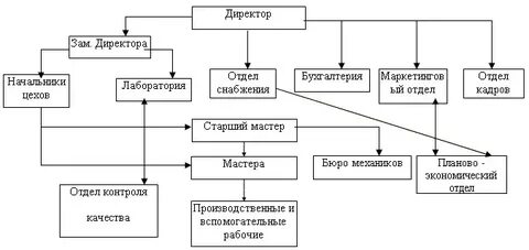 Рис организационная структура