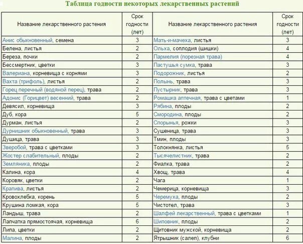 Травы сколько хранить. Срок хранения лекарственных трав сушеных. Срок годности сухих трав. Срок годности лечебных трав сушеных. Срок годности сухих трав лечебных.