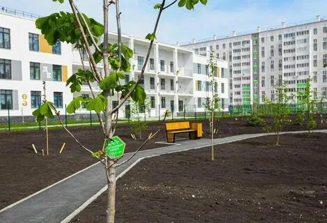 Alley science журнал
