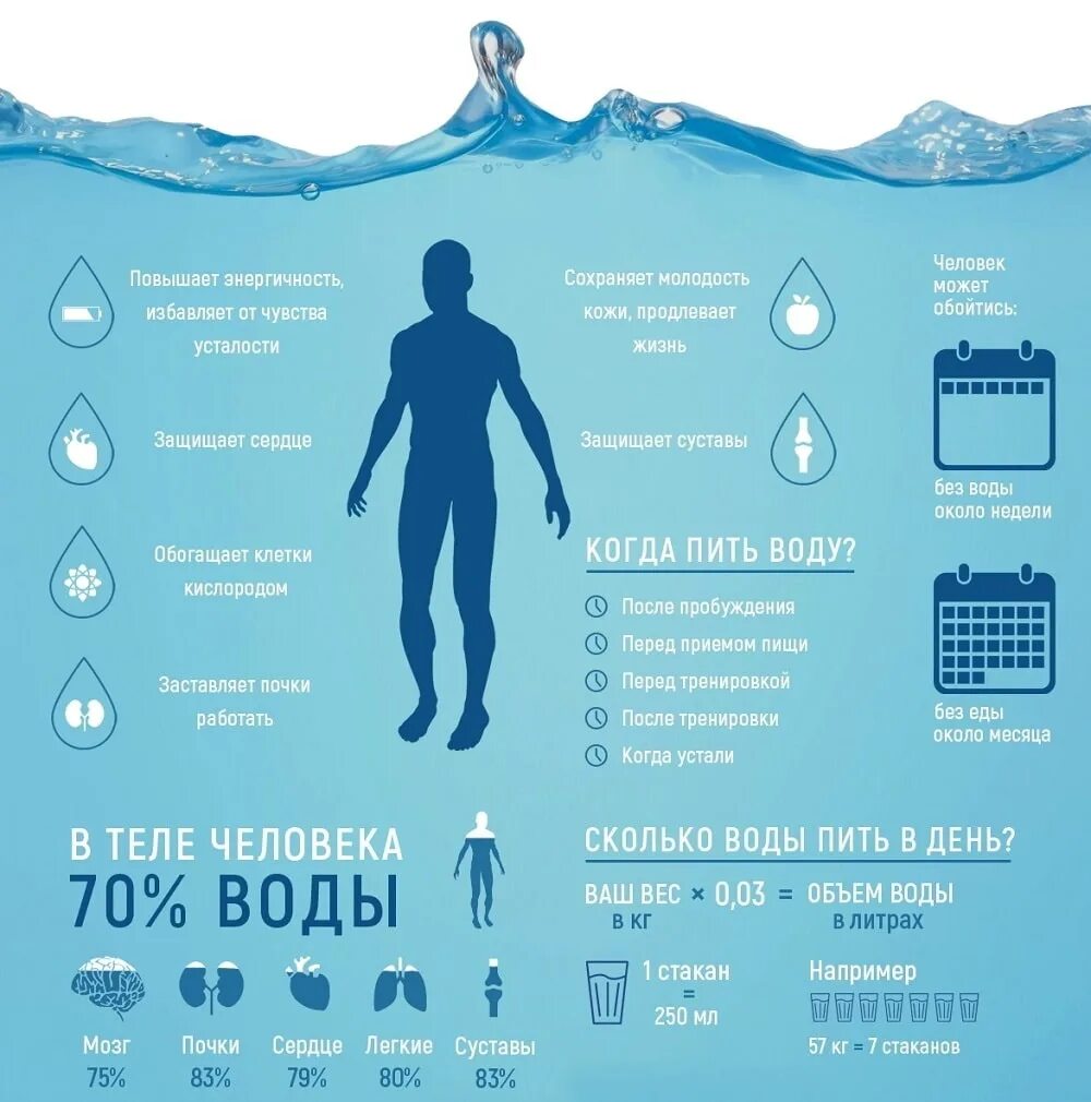 Сколько чего должно быть в воде. Сколько чего должно быть в воде
