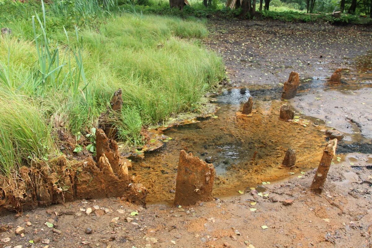 барранкосы вулкана. вулкан ставрополь. вулкан ставрополь. вулкан ставрополь. вулканы ставропольского края.