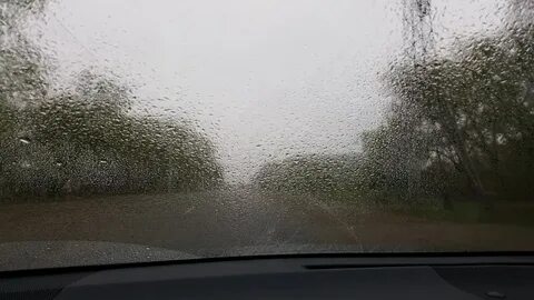 После дождя завелся