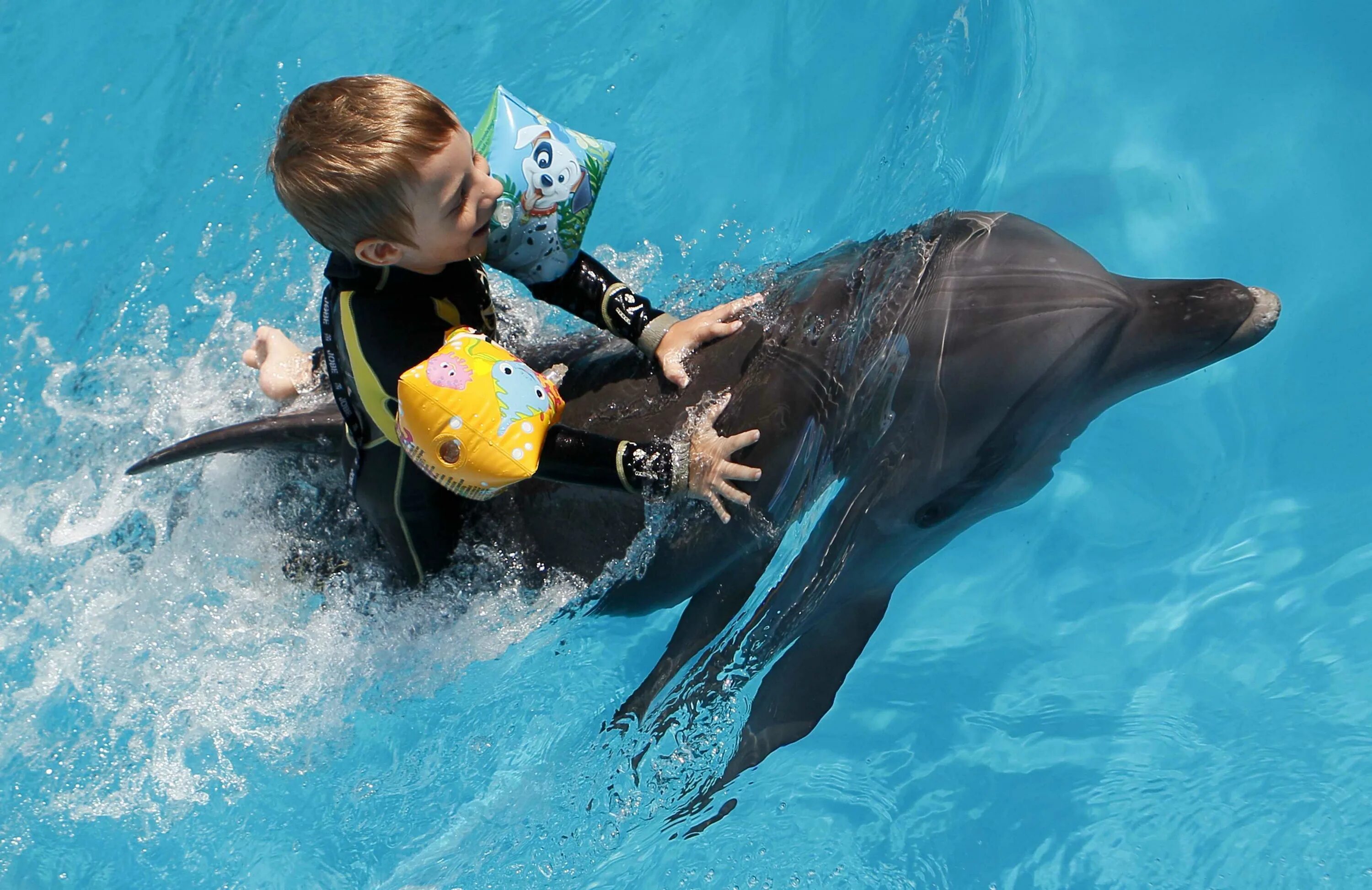 Дельфина катала. Дельфины для детей. Анималотерапия дельфинотерапия. Дельфинотерапия аутизм. Дэвид натансон дельфинотерапия.