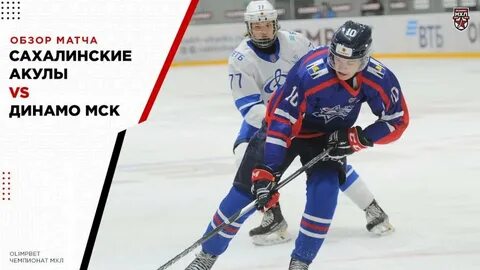 Акулы динамо прогноз