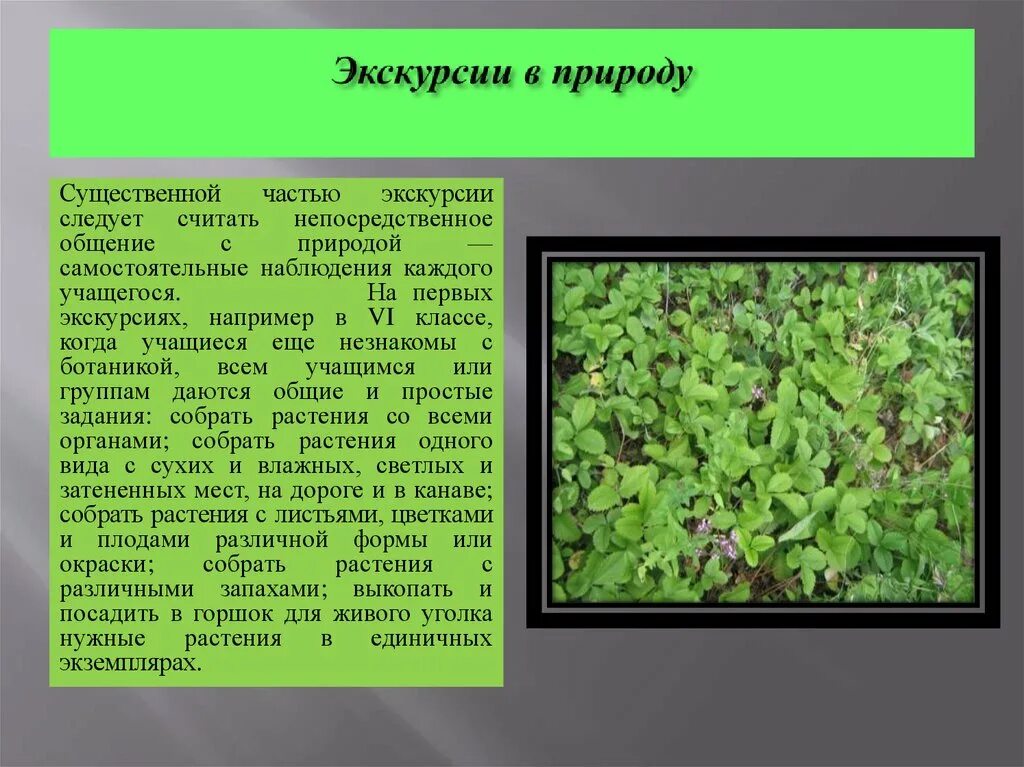Информация об экскурсии