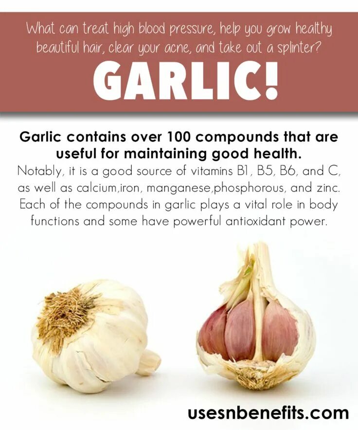 Чеснок для организма мужчины. Витамин чеснок garlic. The benefits of garlic. Чеснок польза. Чем полезен чеснок.