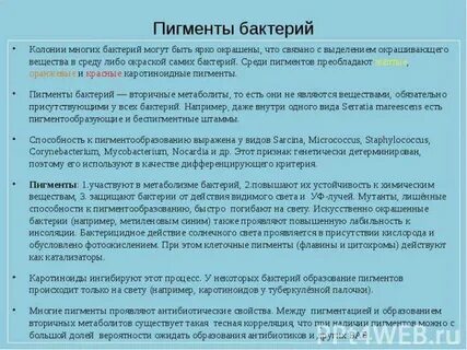 Пигменты бактерий