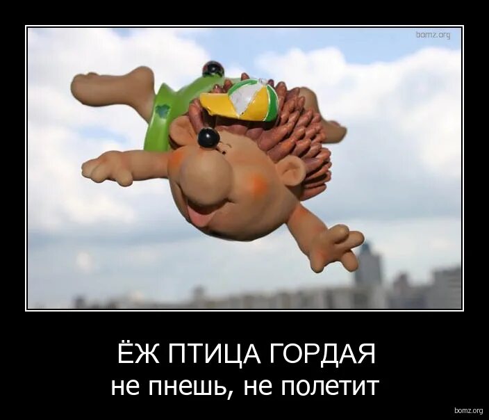 Ёж птица гордая пока не пнёшь. Еж птица гордая не пнешь. Еж птица гордая не пнешь. Ёжик - птица гордая. Еж птица гордая не пнешь.