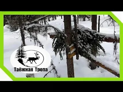 Леха таежная