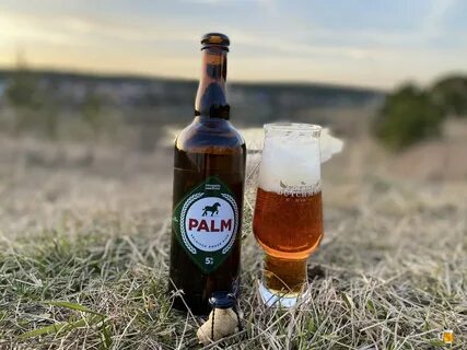 Palm royale beer