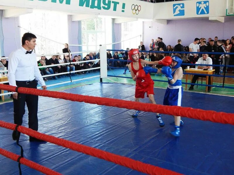 Запретные объятия боксеров на ринге. Ринг в спортшколе в контакте. Боксёры со вторым юношеским разрядом. Ринг в спортивной школе фото. Соревнования в Екатеринбурге среди области г Североуральск 11 школа.