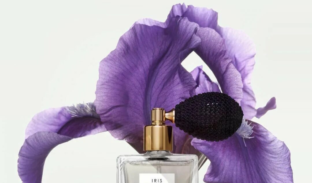 Iris парфюмерия