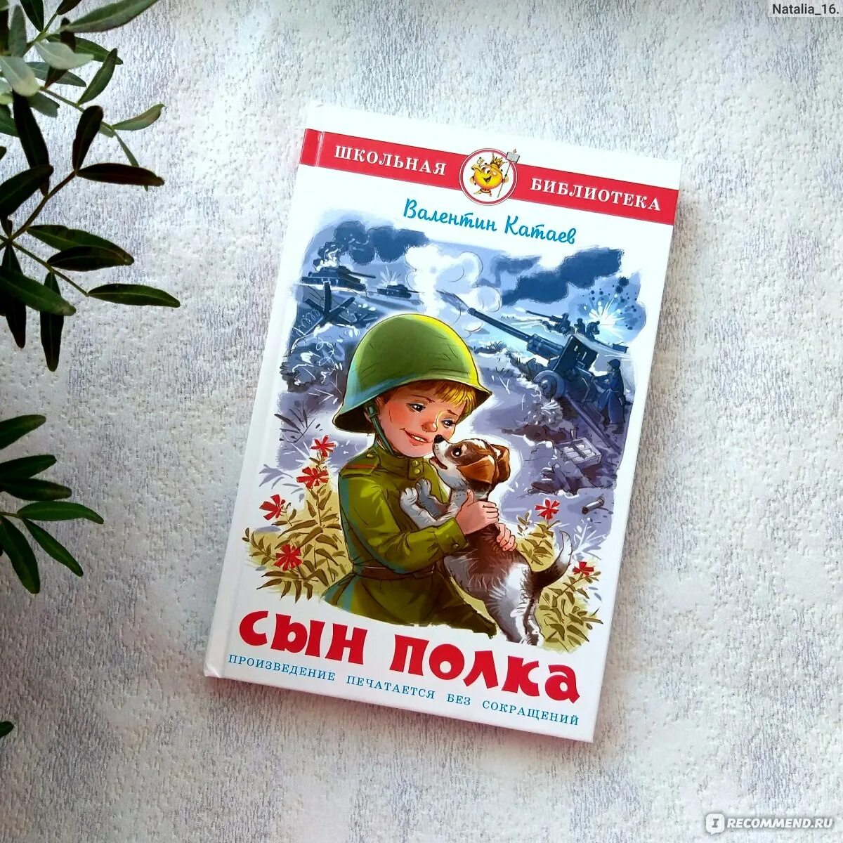 Судьба вани солнцева 5 класс. Сын полка книга.