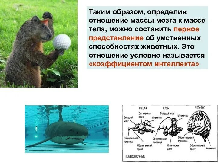 Таким образом можно узнать