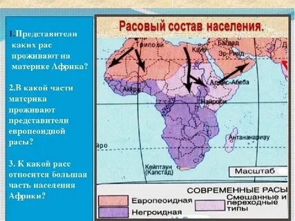 Какие народы населяли африканский континент