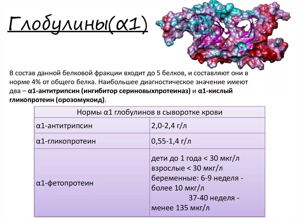 Глобулин это